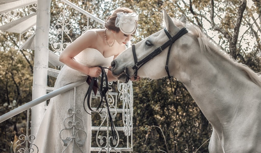 Обои лошадь, белый, конь, азиатка, невеста, horse, white, asian, the bride разрешение 1920x1213 Загрузить