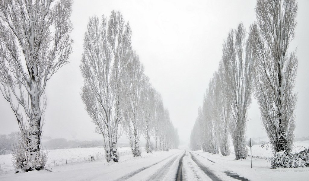 Обои дорога, деревья, снег, зима, road, trees, snow, winter разрешение 1920x1080 Загрузить