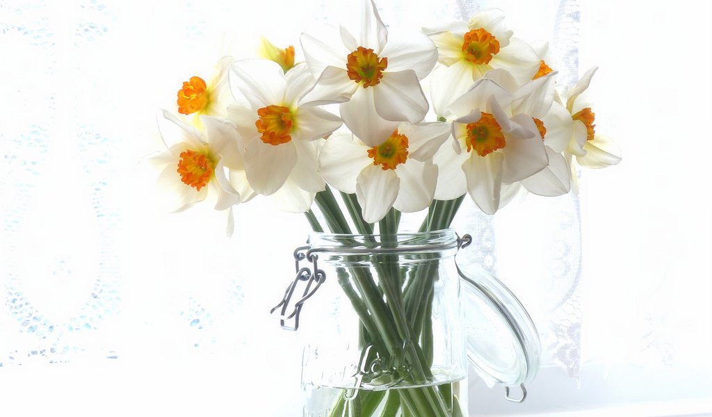 Обои букет, нарциссы, банка, bouquet, daffodils, bank разрешение 2048x1525 Загрузить