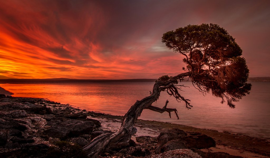 Обои озеро, дерево, берег, закат, зарево, lake, tree, shore, sunset, glow разрешение 2048x1137 Загрузить