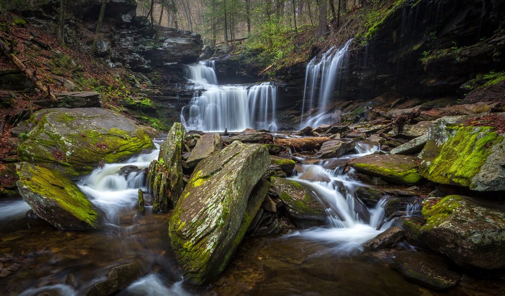 Обои деревья, камни, лес, ручей, водопад, сша, мох, ricketts glen state park, trees, stones, forest, stream, waterfall, usa, moss разрешение 3209x2000 Загрузить