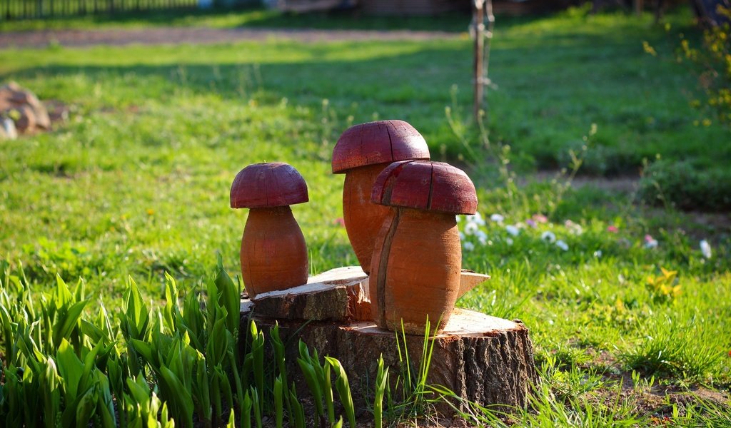 Обои лето, грибы, пень, пенек, грибочки, summer, mushrooms, stump разрешение 4096x2731 Загрузить