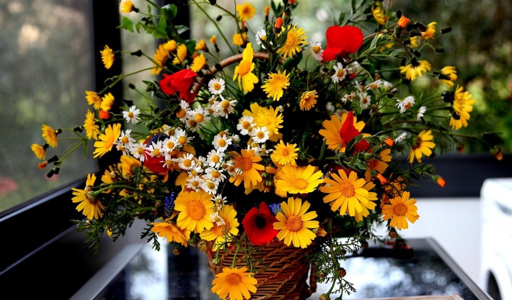 Обои цветы, букет, окно, корзинка, flowers, bouquet, window, basket разрешение 2560x1600 Загрузить