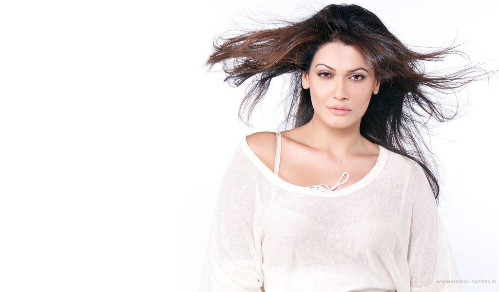 Обои взгляд, модель, волосы, лицо, актриса, болливуд, payal rohatgi, look, model, hair, face, actress, bollywood разрешение 3840x2160 Загрузить