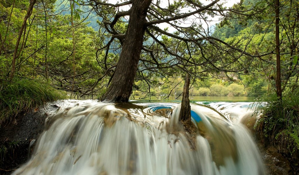 Обои деревья, река, лес, водопад, китай, jiuzhaigou national park, trees, river, forest, waterfall, china разрешение 2880x1920 Загрузить