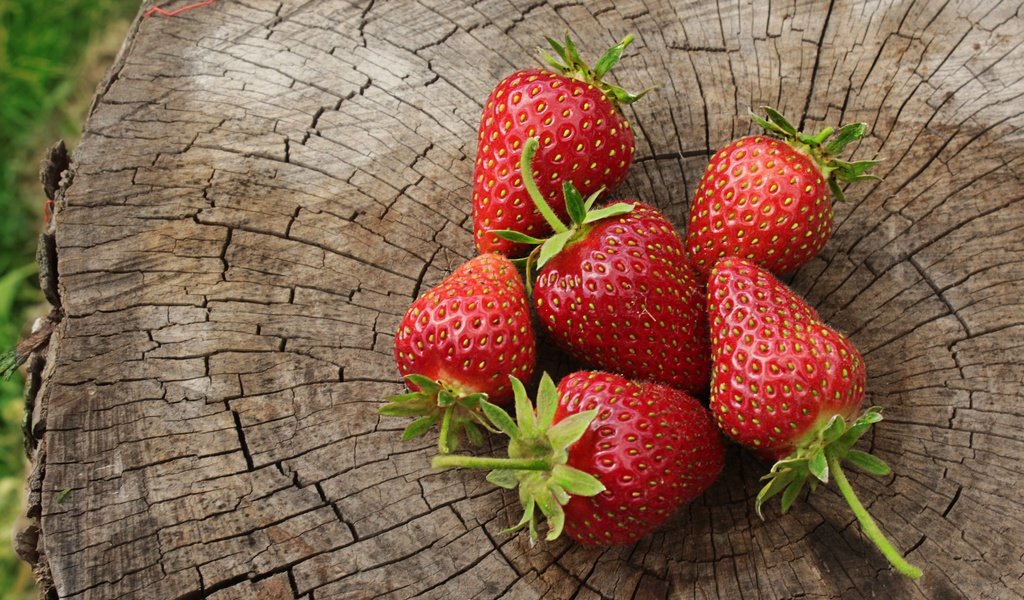 Обои природа, красная, клубника, ягоды, пень, nature, red, strawberry, berries, stump разрешение 2880x1920 Загрузить