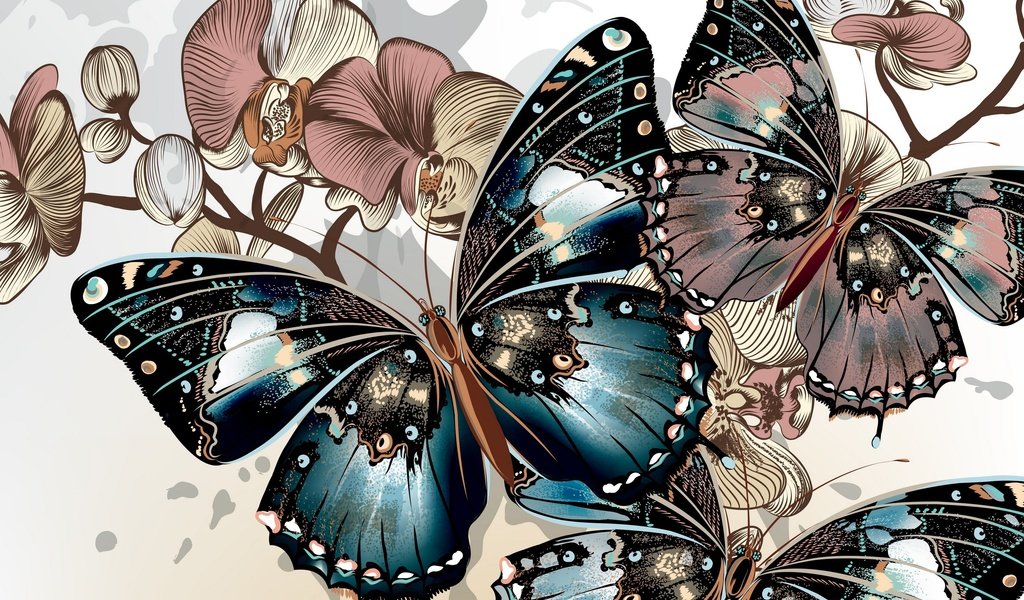 Обои цвета, фон, вектор, крылья, бабочки, окрас, color, background, vector, wings, butterfly разрешение 2880x2021 Загрузить