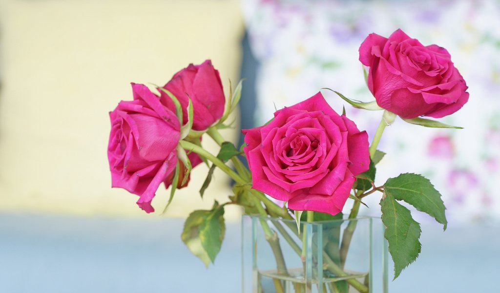Обои розы, букет, ваза, roses, bouquet, vase разрешение 2048x1204 Загрузить