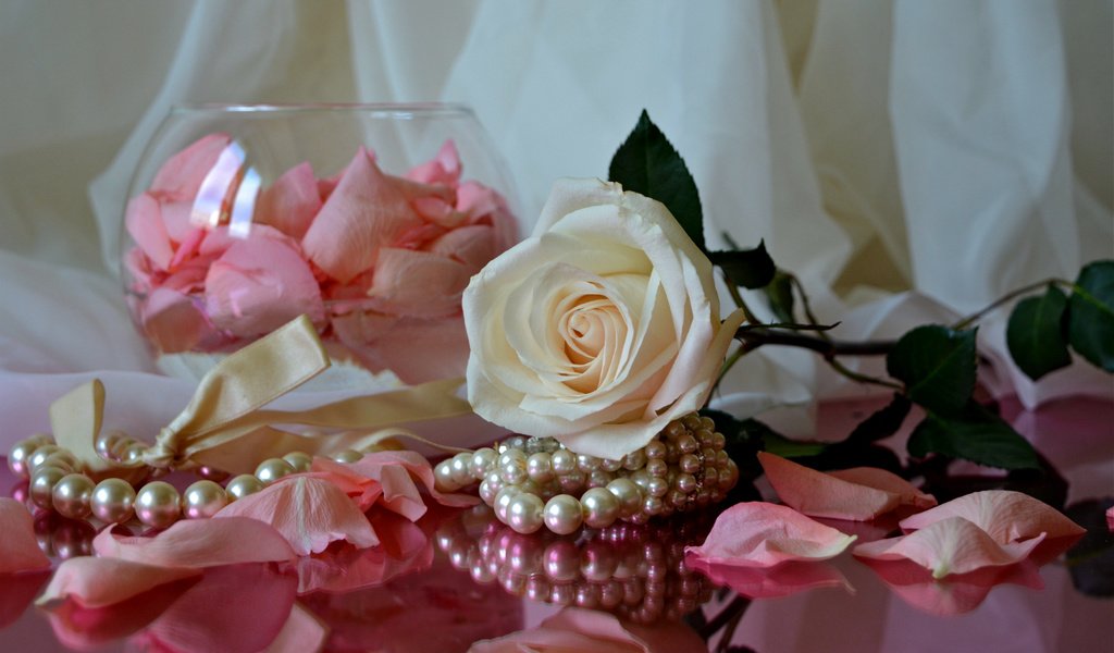 Обои роза, лепестки, ткань, ожерелье, rose, petals, fabric, necklace разрешение 1920x1233 Загрузить