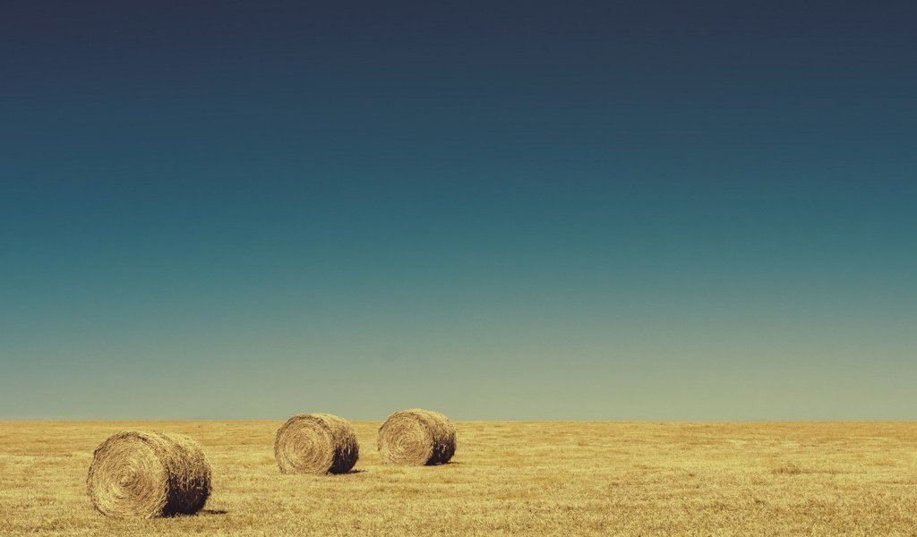 Обои небо, поле, горизонт, сено, тюки, рулоны, the sky, field, horizon, hay, bales, rolls разрешение 1920x1200 Загрузить