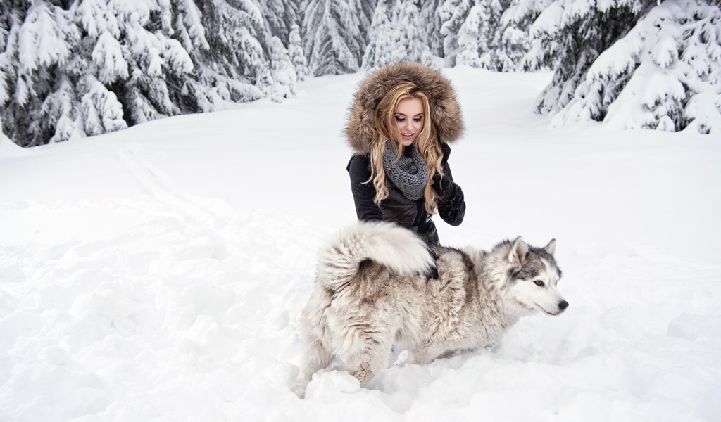 Обои снег, лес, девушка, блондинка, взгляд, собака, хаски, snow, forest, girl, blonde, look, dog, husky разрешение 7360x4912 Загрузить