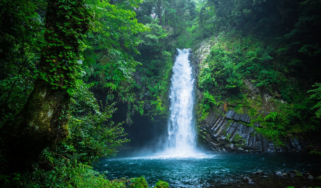 Обои природа, лес, водопад, япония, nature, forest, waterfall, japan разрешение 3840x2400 Загрузить