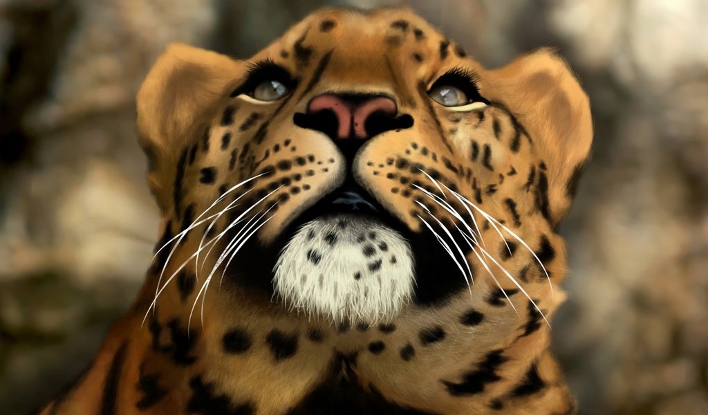 Обои морда, арт, кошка, леопард, хищник, face, art, cat, leopard, predator разрешение 2560x1600 Загрузить