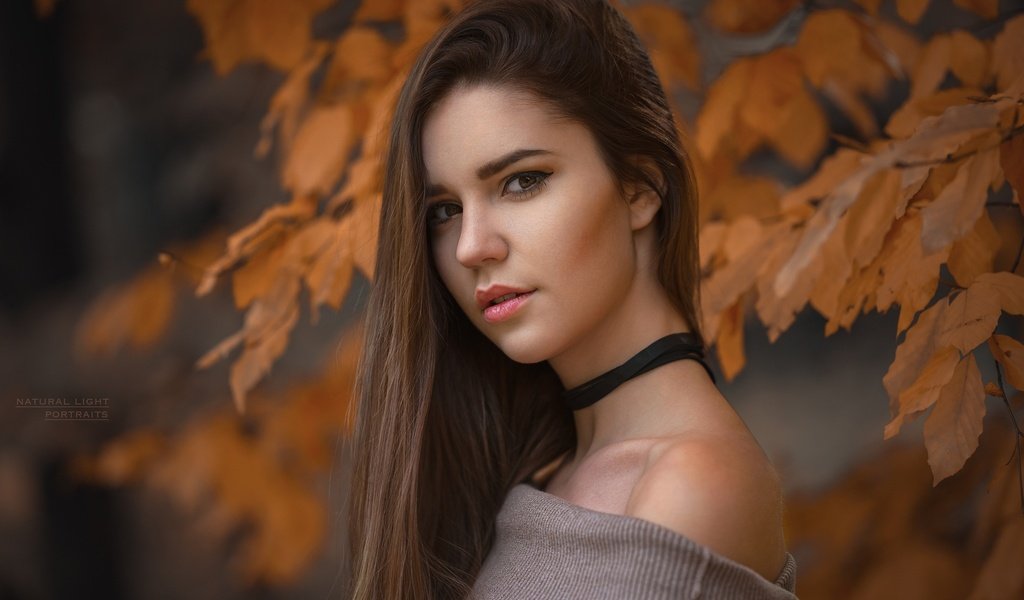 Обои глаза, девушка, портрет, листва, взгляд, осень, eyes, girl, portrait, foliage, look, autumn разрешение 2048x1365 Загрузить