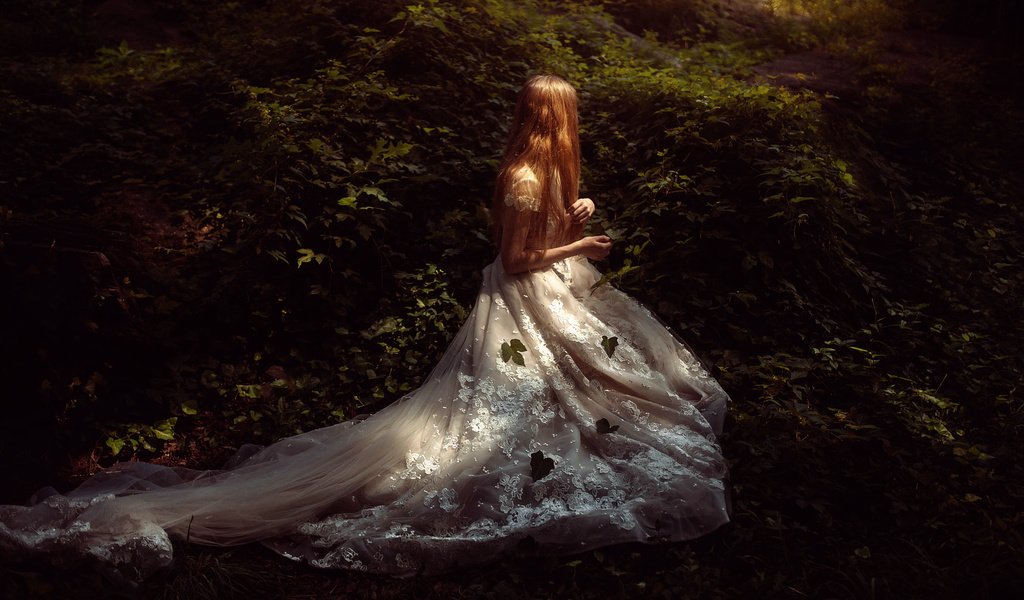 Обои лес, листья, девушка, платье, tj drysdale, secret place, forest, leaves, girl, dress разрешение 2000x1333 Загрузить