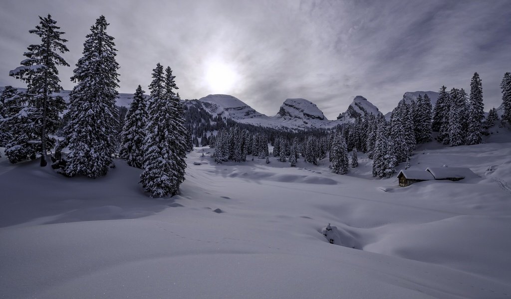 Обои горы, снег, зима, швейцария, домик, ели, сугробы, альпы, mountains, snow, winter, switzerland, house, ate, the snow, alps разрешение 2048x1356 Загрузить