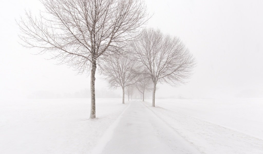 Обои дорога, деревья, снег, зима, метель, road, trees, snow, winter, blizzard разрешение 2048x1365 Загрузить