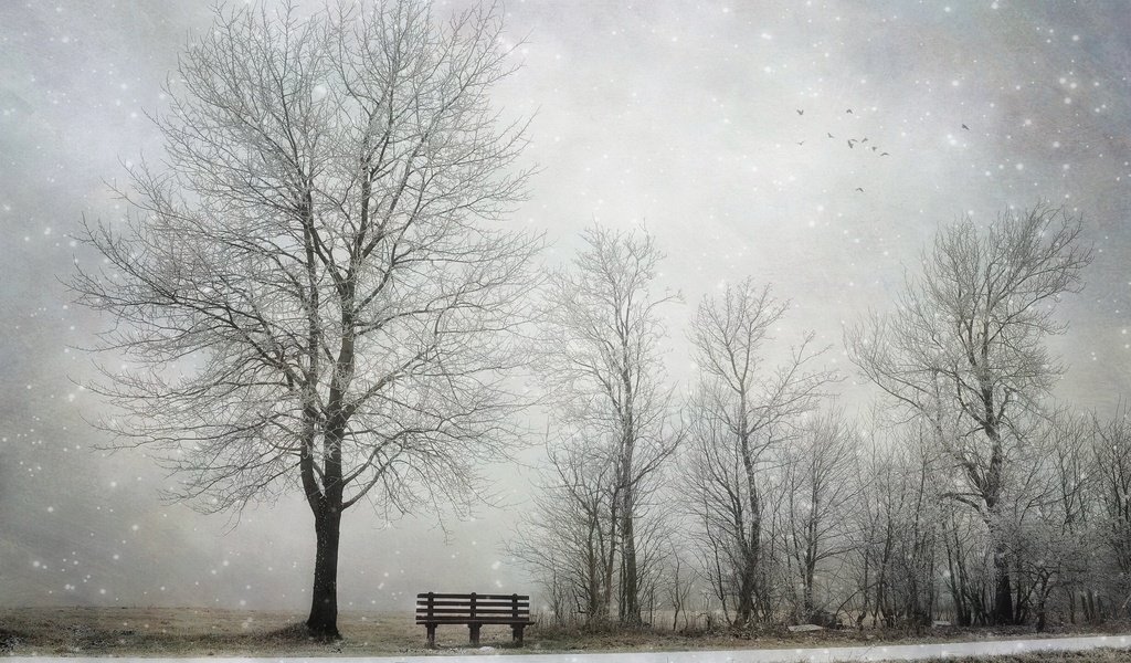 Обои снег, дерево, зима, скамья, snow, tree, winter, bench разрешение 2048x1300 Загрузить