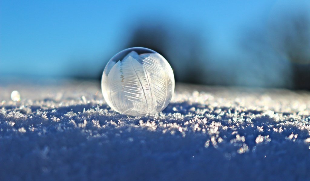 Обои снег, мыльный пузырь, eiskristalle, зима, семка, макро, зимой, шар, семки, макросъемка, пузырь, мыльный, мыло, snow, winter, syomka, macro, in the winter, ball, semyon, bubble, soap разрешение 5184x3456 Загрузить