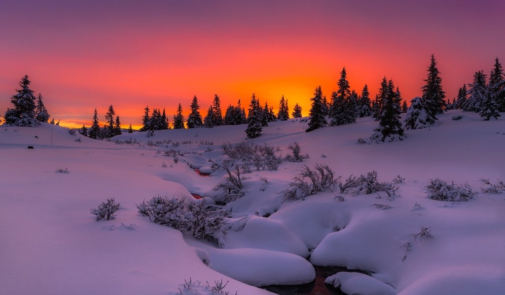 Обои деревья, сугробы, вечер, снег, природа, лес, закат, зима, ручей, trees, the snow, the evening, snow, nature, forest, sunset, winter, stream разрешение 2048x1410 Загрузить