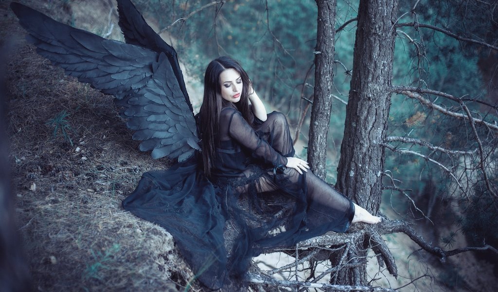 Обои лес, девушка, крылья, ангел, черные крылья, forest, girl, wings, angel, black wings разрешение 5616x3744 Загрузить