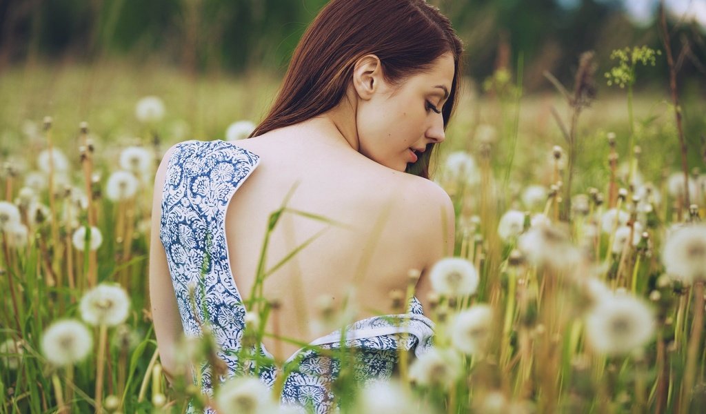 Обои цветы, природа, девушка, платье, flowers, nature, girl, dress разрешение 2048x1365 Загрузить