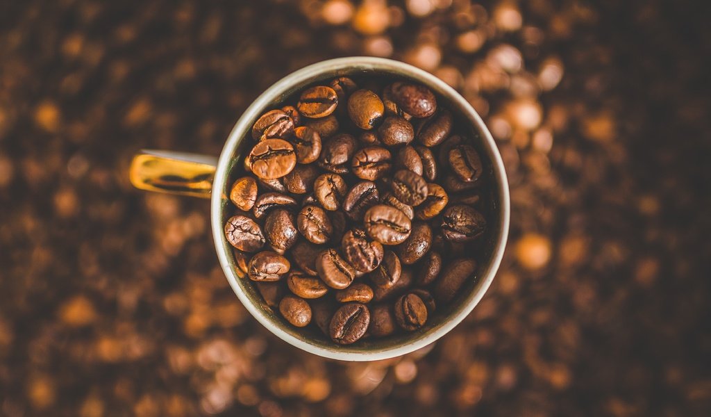 Обои зерна, кофе, чашка, кофе в зернах, grain, coffee, cup, coffee bean разрешение 4955x3303 Загрузить