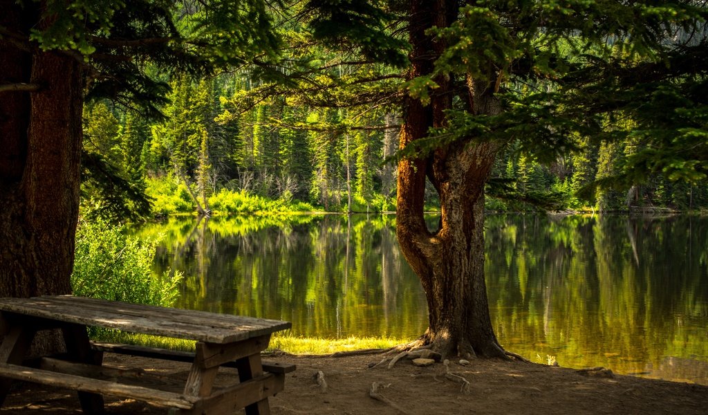 Обои деревья, вода, озеро, природа, лес, стол, скамейка, trees, water, lake, nature, forest, table, bench разрешение 6016x4016 Загрузить