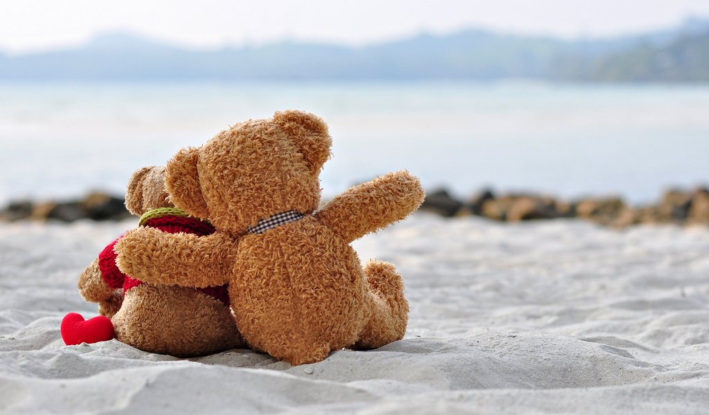 Обои медведь, игрушка, любовь, романтика, тедди, медведи, романтичный, bear, toy, love, romance, teddy, bears, romantic разрешение 7908x5148 Загрузить