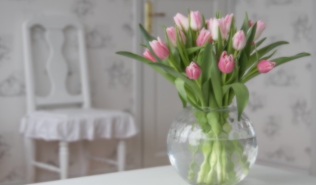 Обои цветы, бутоны, букет, тюльпаны, розовые, ваза, flowers, buds, bouquet, tulips, pink, vase разрешение 4810x3207 Загрузить