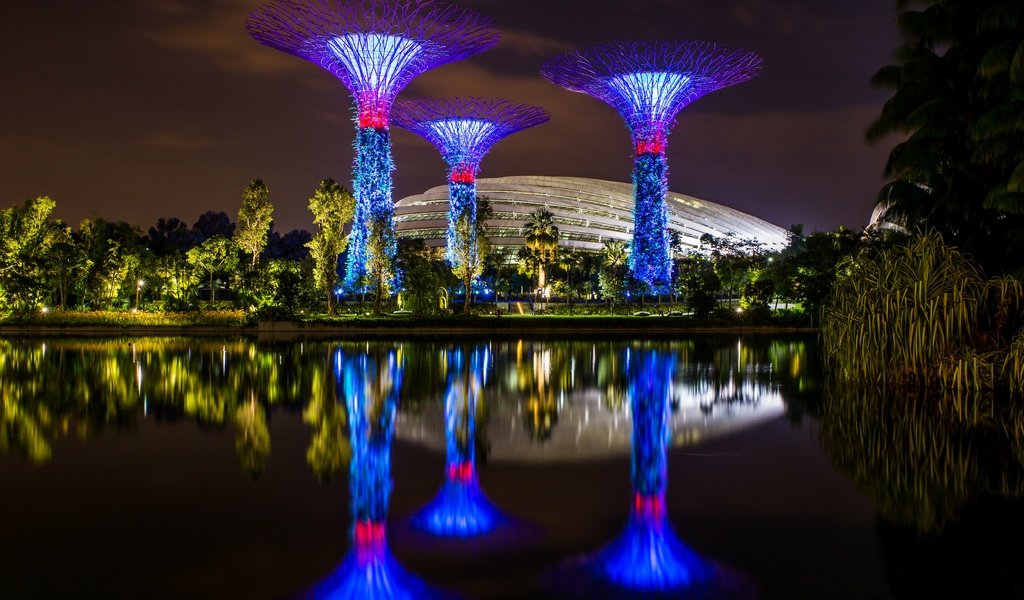 Обои ночь, сингапур, деревья, сооружения, огни, gardens by the bay, сады, зелень, дизайн, парк, красота, пруд, night, singapore, trees, facilities, lights, gardens, greens, design, park, beauty, pond разрешение 5220x3480 Загрузить