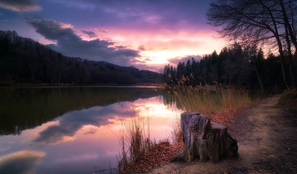 Обои деревья, озеро, закат, пень, trees, lake, sunset, stump разрешение 2000x1235 Загрузить