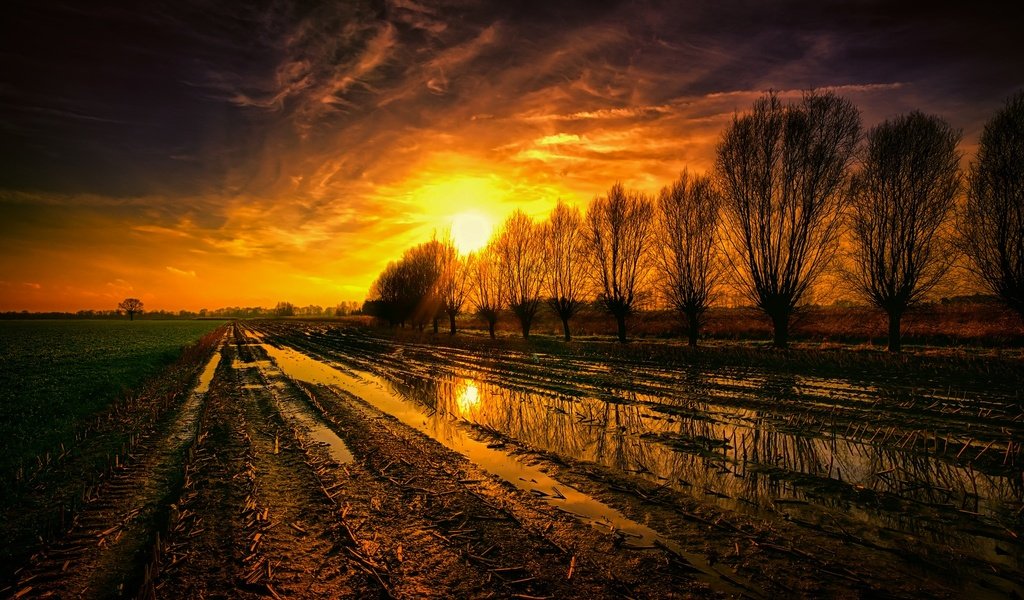 Обои деревья, солнце, поле, лужи, trees, the sun, field, puddles разрешение 2048x1364 Загрузить