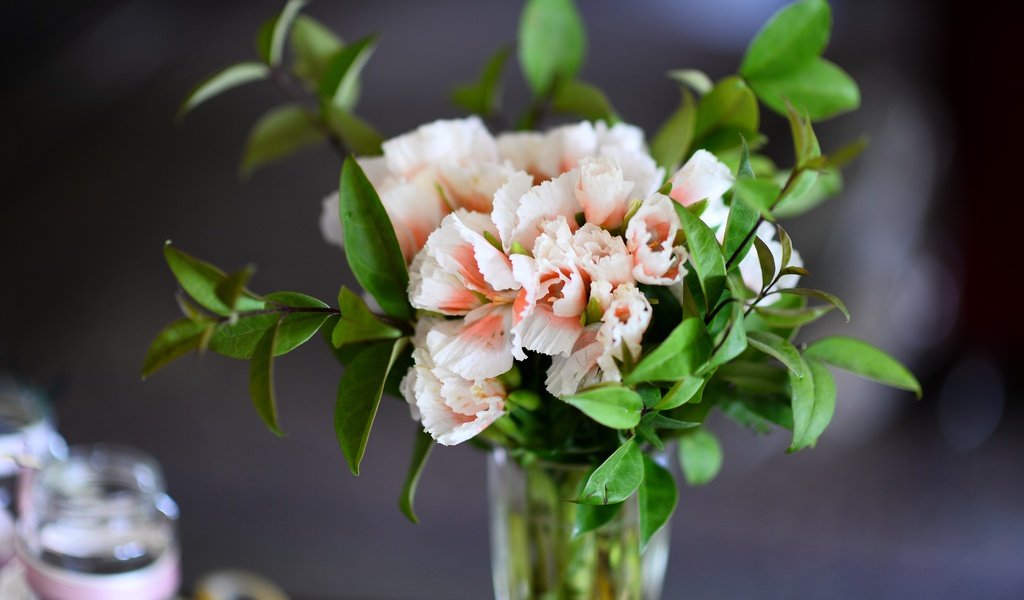 Обои цветы, листья, ветки, букет, ваза, пеларгония, flowers, leaves, branches, bouquet, vase, pelargonium разрешение 6016x4016 Загрузить