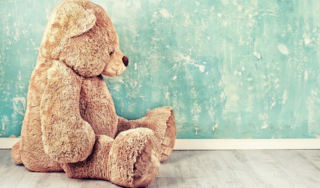 Обои стена, мишка, игрушка, сидит, wall, bear, toy, sitting разрешение 6361x4241 Загрузить