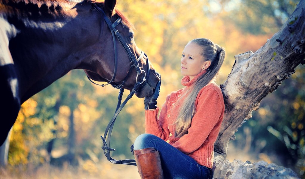 Обои лошадь, свитер, солнце, сапоги, дерево, перчатки, девушка, боке, блондинка, осень, джинсы, прическа, horse, sweater, the sun, boots, tree, gloves, girl, bokeh, blonde, autumn, jeans, hairstyle разрешение 4200x2800 Загрузить