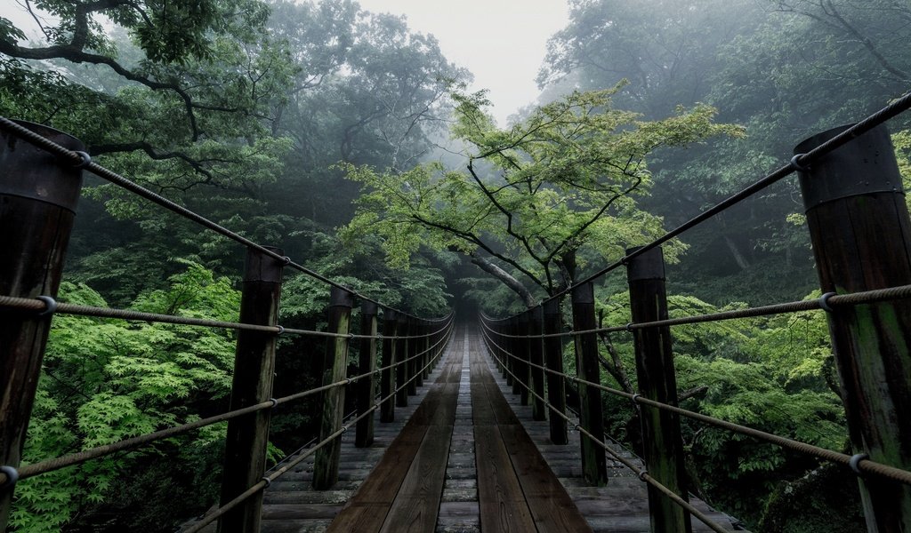 Обои деревья, природа, мост, япония, дымка, trees, nature, bridge, japan, haze разрешение 2500x1667 Загрузить