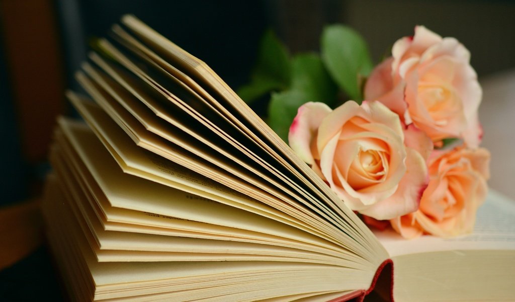 Обои цветы, розы, букет, книга, страницы, flowers, roses, bouquet, book, page разрешение 6000x3781 Загрузить