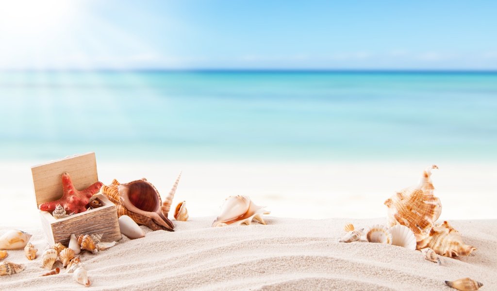 Обои солнце, каникулы, море, летнее, песок, пляж, лето, ракушки, морская звезда, песка, seashells, the sun, vacation, sea, sand, beach, summer, shell, starfish разрешение 5616x3744 Загрузить