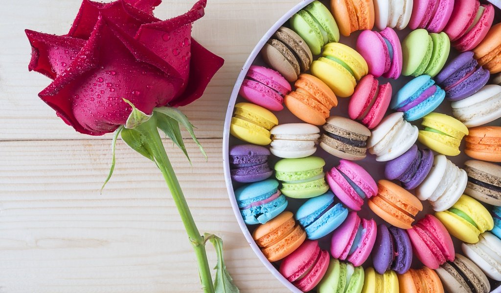 Обои цветок, роза, окрас, коробка, печенье, макарун, flower, rose, color, box, cookies, macaron разрешение 4592x3448 Загрузить