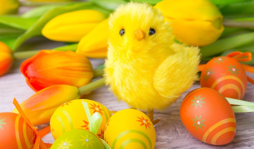 Обои цветы, тюльпаны, пасха, цыплёнок, яйца крашеные, flowers, tulips, easter, chicken, the painted eggs разрешение 5472x3648 Загрузить