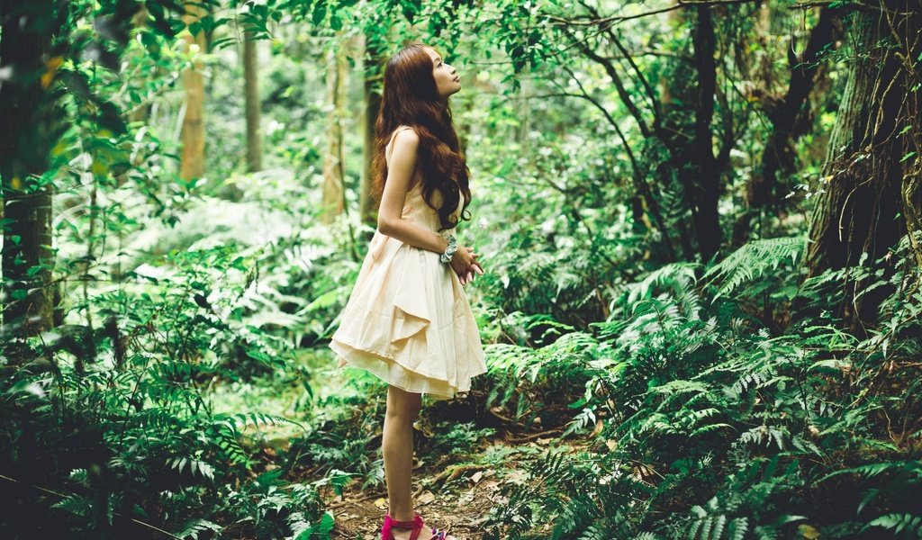 Обои лес, девушка, азиатка, forest, girl, asian разрешение 1935x1271 Загрузить