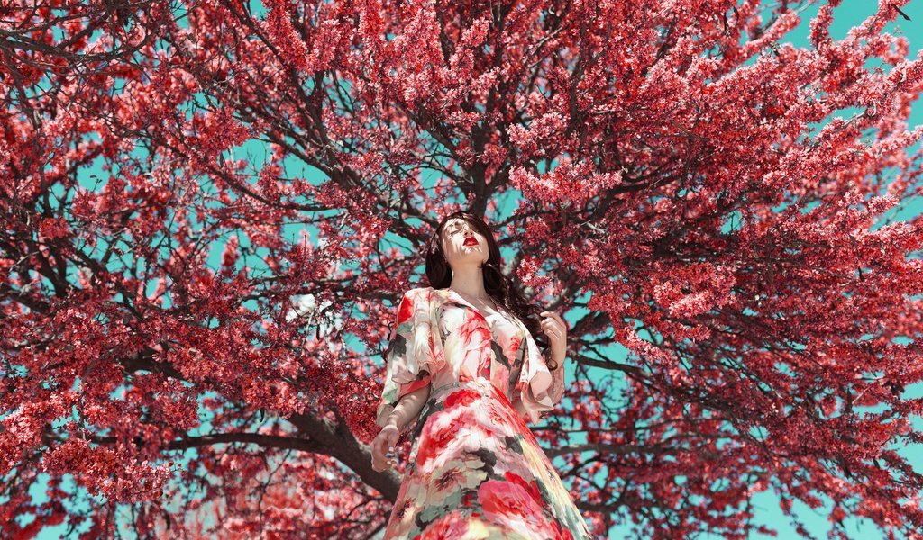 Обои дерево, цветение, девушка, платье, модель, весна, лицо, tree, flowering, girl, dress, model, spring, face разрешение 2048x1365 Загрузить