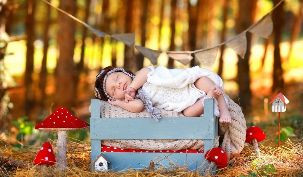 Обои природа, осень, сон, дети, ребенок, младенец, мухомор, ящик, nature, autumn, sleep, children, child, baby, mushroom, box разрешение 1920x1200 Загрузить