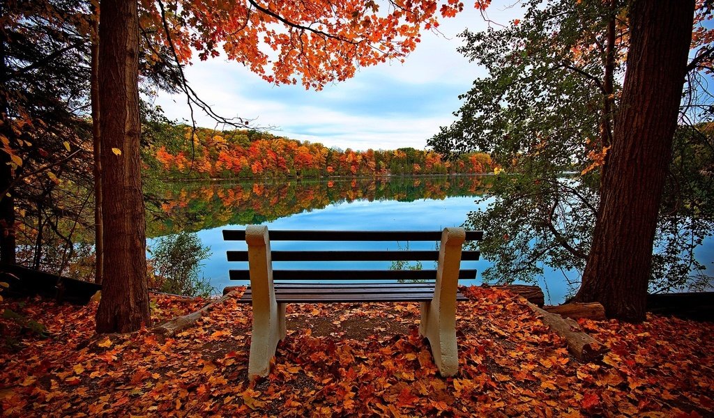 Обои небо, деревья, озеро, природа, лес, листья, осень, скамейка, the sky, trees, lake, nature, forest, leaves, autumn, bench разрешение 2048x1351 Загрузить