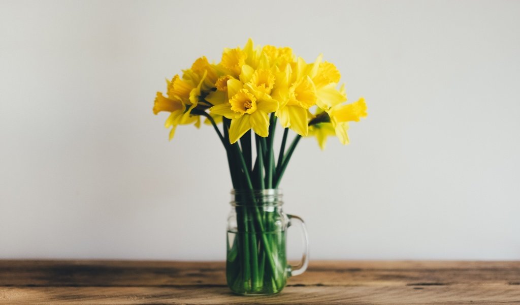 Обои цветы, букет, нарциссы, желтые, flowers, bouquet, daffodils, yellow разрешение 2560x1440 Загрузить