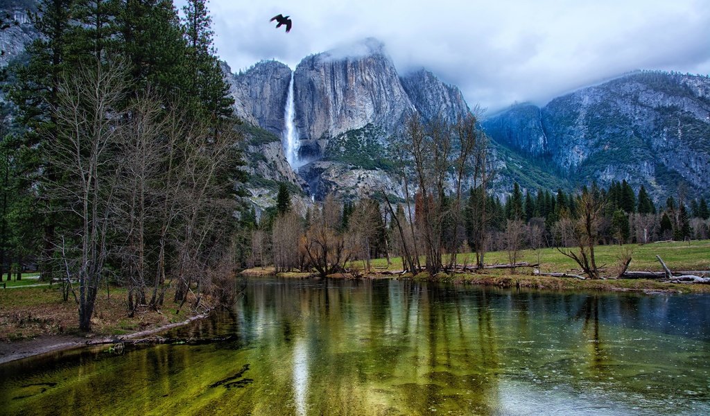 Обои деревья, йосемити, река, горы, скалы, лес, водопад, птица, сша, trees, yosemite, river, mountains, rocks, forest, waterfall, bird, usa разрешение 3000x2000 Загрузить