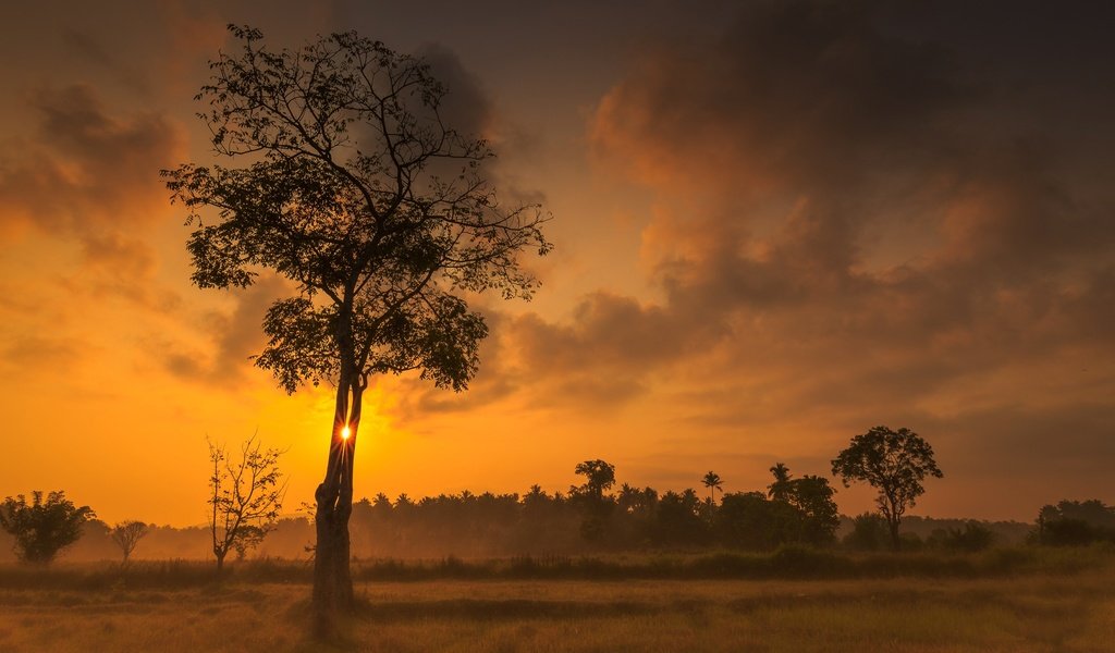 Обои небо, облака, деревья, закат, зарево, the sky, clouds, trees, sunset, glow разрешение 2048x1242 Загрузить