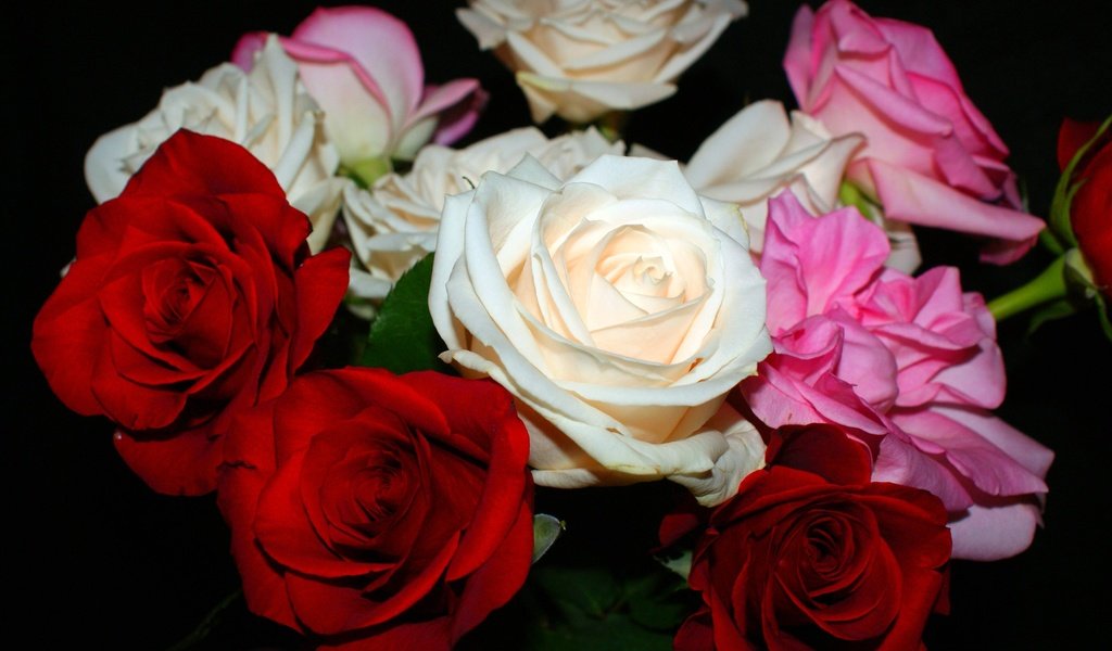 Обои цветы, розы, черный фон, букет, флора, flowers, roses, black background, bouquet, flora разрешение 2794x1871 Загрузить