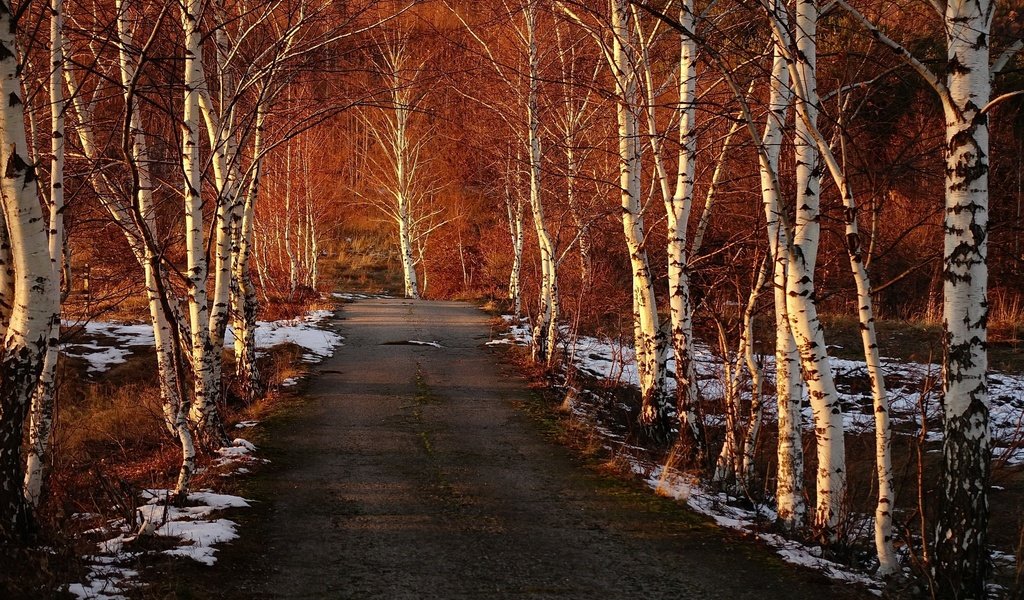 Обои дорога, деревья, снег, березы, весна, road, trees, snow, birch, spring разрешение 1920x1280 Загрузить